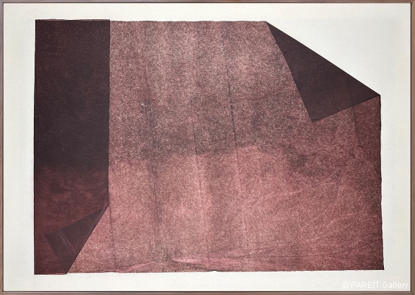 VANHULLEBUSCH Catherine - I'd stick to the plan if possibilities didn't host a party